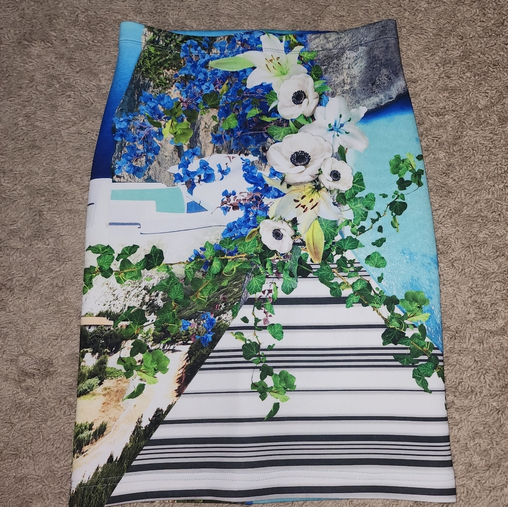 Clover Canyon Women's Skirt